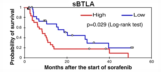 Fig.1 Kaplan-Meier survival analysis of 53 patients with advanced HCC at baseline including high levels of sBTLA and low levels of sBTLA